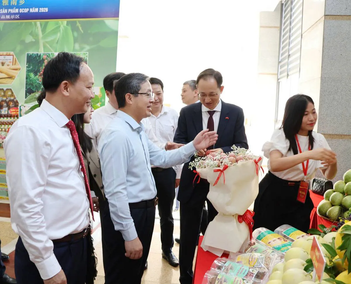 Bắc Ninh: Tăng cường kết nối, đẩy mạnh xúc tiến tiêu thụ vải thiều và các sản phẩm...