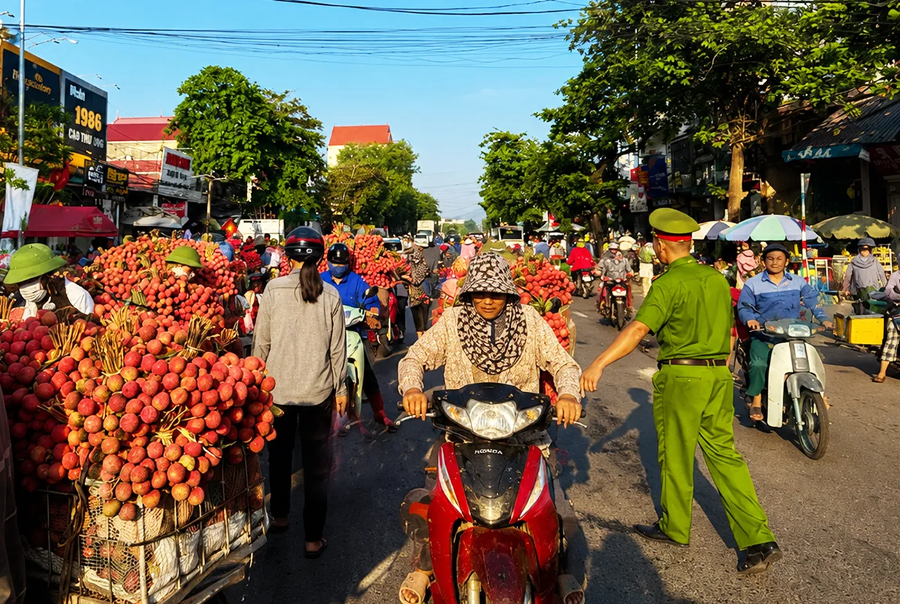 Đảm bảo trật tự, an toàn giao thông phục vụ thu mua, tiêu thụ vải thiều năm 2026