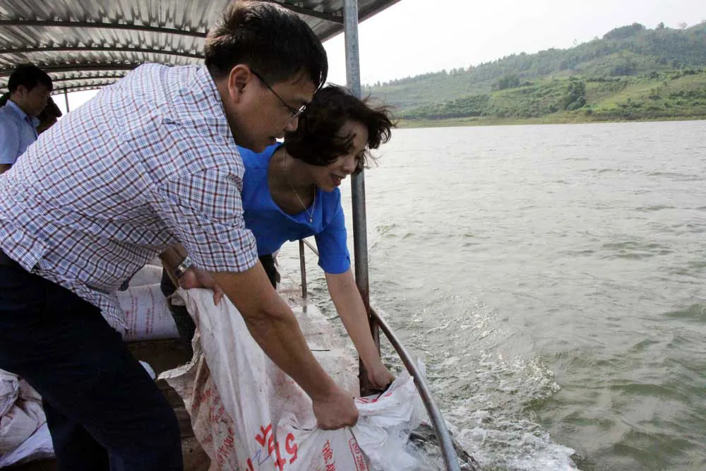Bắc Ninh tăng cường thực hiện các quy định về bảo vệ và phát triển nguồn lợi thủy sản